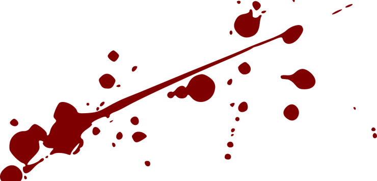 Bloedspetters. Feminiene in Nederland. Wat zijn de rode vlaggen. Wat is femicide