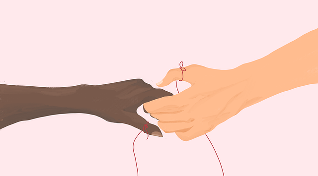 handen die elkaar raken. symbool voor relatiecoach als oplossing voor vechtscheiding