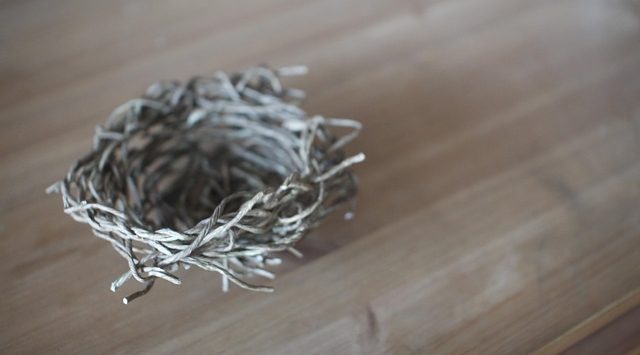 nestje. symbool voor empty nest, hoe overleeft je relatie?